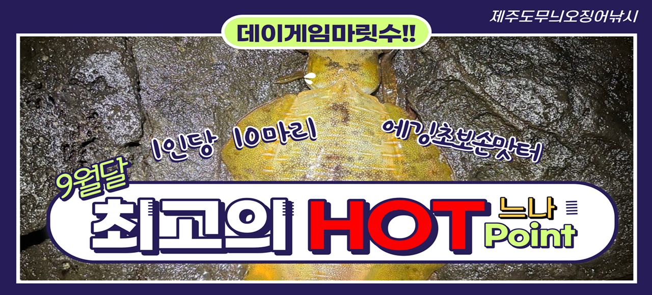 제주서귀포 HOT 에깅포인