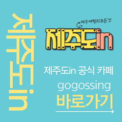 제주도in 공식 카페