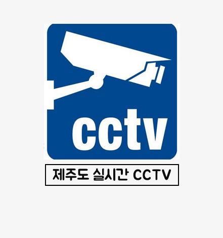 제주실시간CCTV
